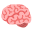 🗺️